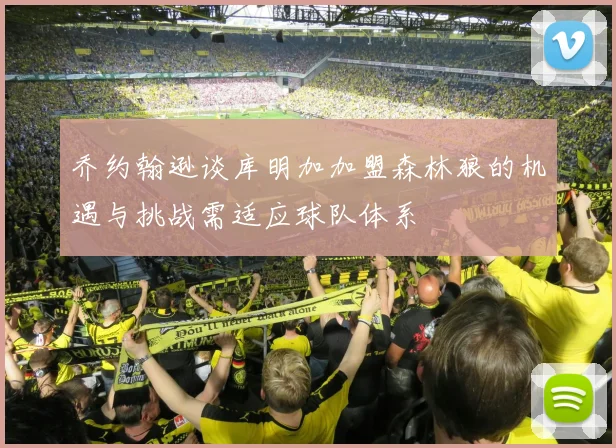 乔约翰逊谈库明加加盟森林狼的机遇与挑战需适应球队体系